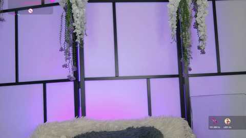Media: A video of a modern room with a black-framed window, adorned with cascading white and purple flowers. The background features a soft purple light, and the foreground includes a textured gray pillow.