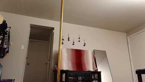 Video of a cluttered room with beige walls, a tall gold pole, a red curtain, a mirror, a door, and a shelf with books and decorative items.