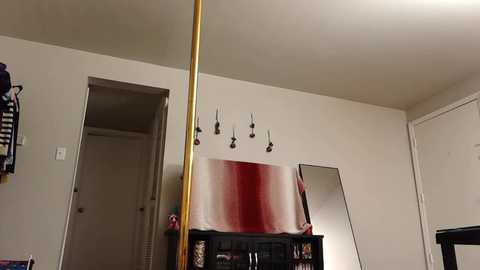 Video of a small, dimly lit bedroom with beige walls and a golden pole, a mirror, and a red and white bedspread.