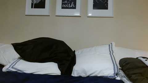 Video of a neatly made bed with white pillows and a black pillow, adorned with navy blue trim. Three framed artworks hang on a beige wall above the bed.