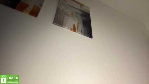 A video of a white wall with a rectangular vent featuring a blurred image of a kitchen interior. The image includes various kitchen items and appliances. The wall has a light texture. The bottom-left corner has a green logo with white text.