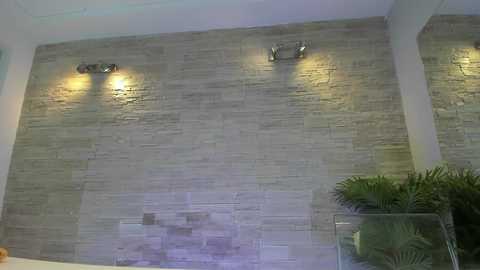 Video of a modern bathroom with a textured, light grey stone wall, two wall-mounted sconces, and a green potted plant on the right.