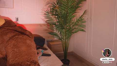 Video of a bedroom with a brown bed, a tall green potted plant, and a small wooden nightstand with a TV remote, under warm, pinkish lighting.