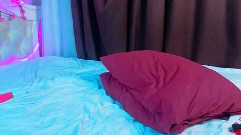 Video of a bed with light blue sheets, a red pillow, and brown curtains in the background. A pink object is visible in the left corner.