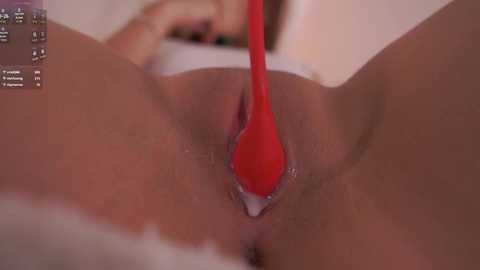 Video of a close-up of a woman's shaved vulva being cleaned with a red spatula, skin tone light, blurry background.