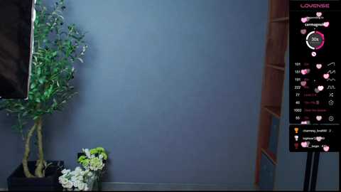 A video of a minimalist room with a blue wall, a green potted plant, a black TV stand, and a wooden door. A digital screen displays a \"Lovering\" app interface with heart icons.