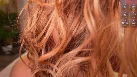 Close-up video of a woman's tousled, reddish-brown hair with curly strands. Background is blurred, displaying a green plant and a purple cushion. Right side of the image features a digital timer showing 30 minutes and 50 seconds.