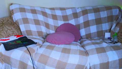 Video of a beige and white checkered couch with a pink cushion, surrounded by patterned pillows and a magazine on the left.