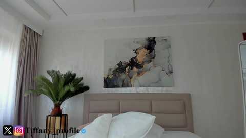 Video of a modern bedroom with a beige upholstered headboard, abstract art on the wall, potted palm plant, white bedding, and sheer curtains.