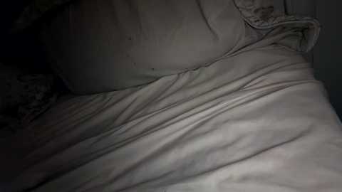 A dimly lit video shows a person\u2019s bare back and buttocks under a wrinkled, pale-colored bedsheet, with a pillow partially visible. The background is indistinct, suggesting a bedroom setting. The image conveys a sense of intimacy and privacy.