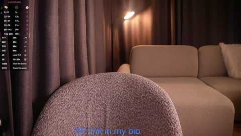 Media: Video of a cozy living room with beige sofa, grey curtains, and a soft, textured grey throw blanket on the floor. Warm light from a lamp illuminates the space. Text reads: \"Oh, I think I'm in my bed.\