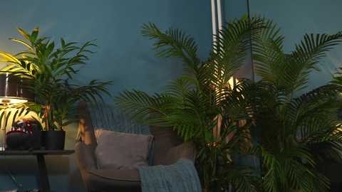 Media: Video of a cozy outdoor seating area at dusk, featuring a beige sofa with cushions, a potted plant, and a floor lamp, all bathed in warm lighting.