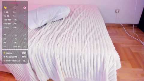 Video of a neatly made bed with a light grey, ribbed blanket and a light blue pillow. The background features a wooden floor and a white wall with a power outlet and cable.