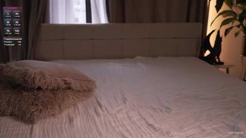 Video of a modern bedroom with a plush, beige fur throw on the left side of a neatly made bed. A white headboard is against a wall with a window covered by sheer white curtains and dark brown drapes. A potted plant sits on a wooden nightstand on the right.
