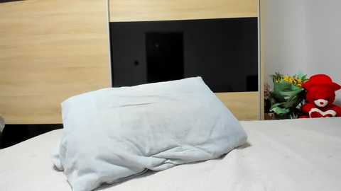 Video of a neatly made bed with a light blue pillow, wooden headboard, and plush toys (red and green) on the right.