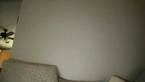 Video of a plain, off-white wall in a dimly lit room, featuring a ceiling fan with dark blades and a beige couch with a textured pattern in the foreground.