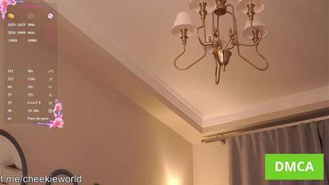 Video of a cozy, dimly lit room with a chandelier, beige walls, and a white window curtain. A green DMC logo is overlaid in the bottom right corner.