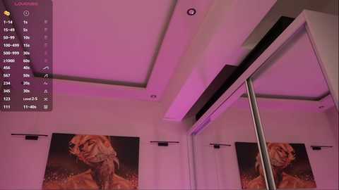 Video of a modern bedroom with pink lighting, featuring a large mirror and two framed animal portraits on the wall. The room has a minimalist, sleek design.