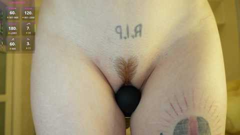 A video shows a nude person's lower torso, with pubic hair and a black anal plug, tattoos, and a blurred background.