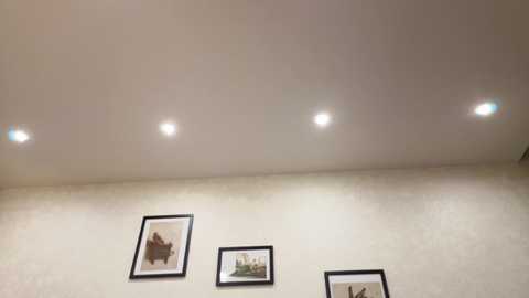 Video of a beige wall with three framed black-and-white animal drawings, lit by four recessed ceiling lights. The drawings depict a bird, a fox, and an unknown animal, with a minimalist, rustic aesthetic.