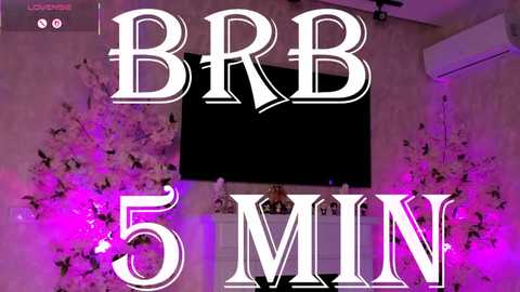 A video of a room with a large flat-screen TV mounted on a beige wall, surrounded by purple lights. Bold white text overlaid reads \"BB 5 MIN.\