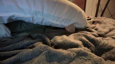 Video of a cozy bedroom scene with a person sleeping under a light gray, fluffy blanket. A white pillow and a dark headboard are visible in the background.