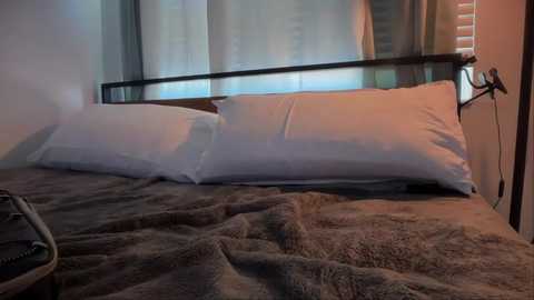 Video of a cozy bedroom with a bed covered in a brown faux fur blanket, featuring a black metal headboard with white pillows. The background includes a window with sheer curtains and vertical blinds, casting a soft, warm light.