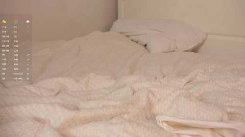 Video of a cozy, unmade bed with white sheets and blankets, in a dimly lit, beige-colored room, showing a slightly wrinkled, textured bedspread and a folded pillow.