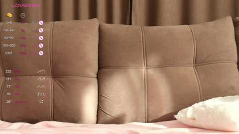 Video of a plush, brown, quilted cushion with a fluffy white pillow in a cozy bedroom setting, featuring a soft pink bedspread and a brown curtain backdrop.