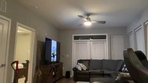 Media: Video of a modern, spacious living room with a gray sectional sofa, flat-screen TV mounted on a wooden cabinet, and white blinds covering large windows.