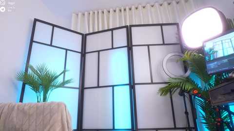 Video of a modern living room with a black-and-white folding screen, lush green potted plants, a bright light, and a decorative wooden shelf with ornaments.