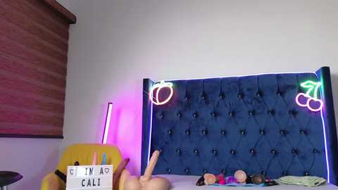 Video of a dimly-lit bedroom with a blue tufted headboard, neon lights, a colorful sex toy collection on a bed, and a yellow stool.