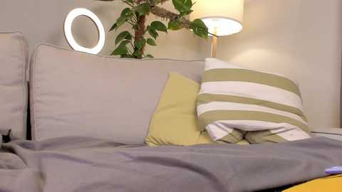 Video of a cozy bedroom corner featuring a gray couch with a soft, gray blanket, a green and white striped pillow, a yellow pillow, and a potted plant. A lamp with a cylindrical shade provides warm lighting.