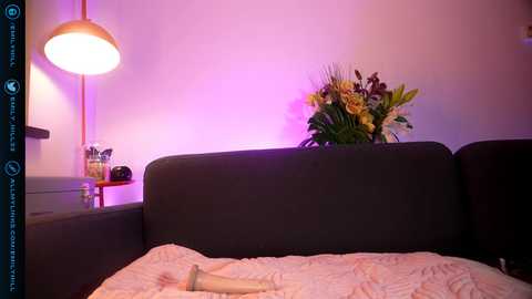 Video of a dimly lit room with a dark gray couch, a small table holding a vase of flowers, and a glowing lamp emitting soft purple light.