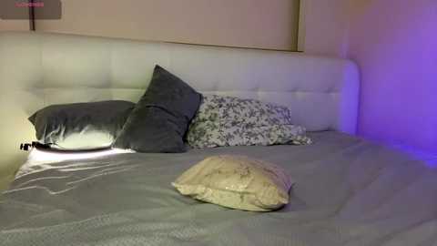 Video of a modern bedroom with a white tufted headboard, grey bedspread, two pillows (one dark grey, one floral), and a plush beige teddy bear on the bed, under soft purple lighting.