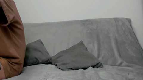 Media: A video of a grey, plush sofa with two matching grey pillows, partially covered by a brown, plush blanket. The background is a plain, light-colored wall. The scene is minimalist and cozy.