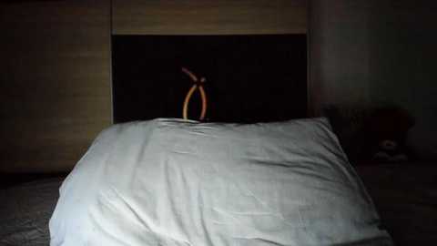 Video of a dimly lit bedroom with a large, dark wooden wardrobe as a backdrop. A white pillow is prominently positioned in the foreground, casting soft shadows. A plush teddy bear rests on the right side of the wardrobe.