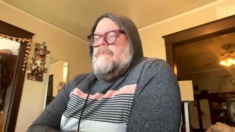 A middle-aged, bearded man with glasses, wearing a gray hoodie with a striped front, stands indoors. The background features a cluttered living room with a mirror, a ceiling fan, and a doorway to another room.