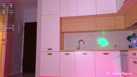 Video of a modern, minimalist kitchen with white cabinets, light wood countertops, and a green neon light above the sink.
