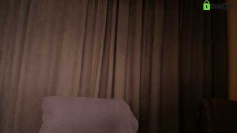 Video of a dimly lit room with beige curtains drawn, a white pillow on a bed, and a green icon in the top right corner.