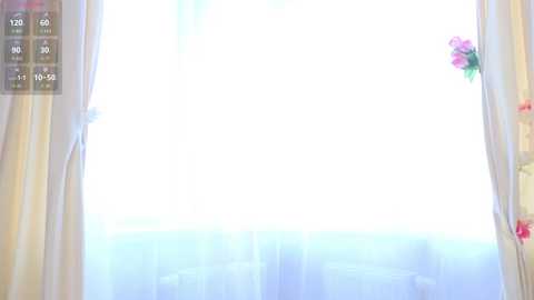 Video of a bright, sunlit room with sheer curtains, floral arrangements, and a view of a garden outside.