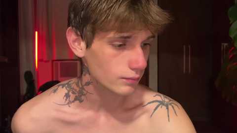 Video of a shirtless young man with light skin and short brown hair, showing a detailed tattoo of a spider on his right shoulder. Background includes a red light and dark wooden cabinetry.
