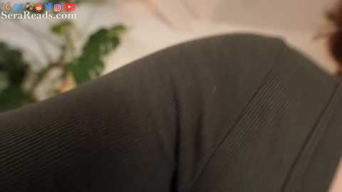 Video of a close-up view of a person\u2019s dark green, textured, ribbed leggings. The background is blurred, featuring a green leafy plant and a white couch. The image is taken from a low angle, focusing on the leg.