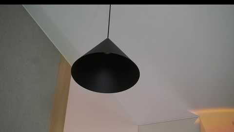 A video of a modern, minimalist room with a sleek, black, cone-shaped pendant light hanging from a white ceiling. The background features soft, neutral-colored walls and a subtle, beige carpet. The lighting is soft and diffused.