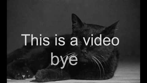 A black and white video of a black cat lying on a wooden floor, with the text \"This is a video by bye\" overlaid. The background is a dark, gradient wall.