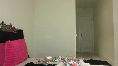 Video of a minimalist bedroom with a black and pink bed, a white door, and scattered clothes on the floor.