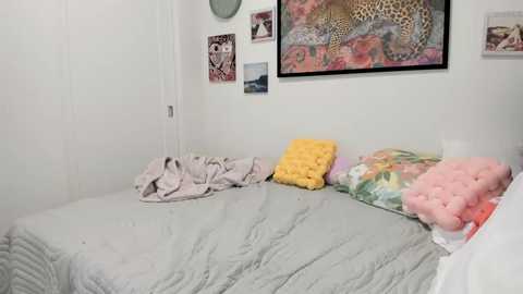 Video of a minimalist, neatly made bed with light grey bedding, pink pillows, and a yellow cushion, against a white wall adorned with colorful animal posters.