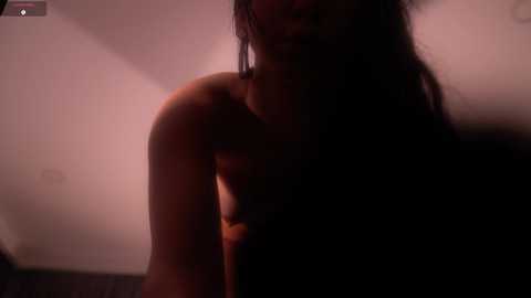 Video of a nude woman with long, dark hair, partially illuminated by dim, warm lighting, creating a sensual, intimate atmosphere.