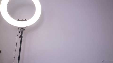 Video of a white, empty room featuring a round, bright light ring on a black stand, casting a halo of light on the plain, smooth wall.