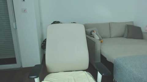 A video of a minimalist bedroom with a beige recliner chair, a gray sofa, and a stuffed cat on the bed, all against white walls.